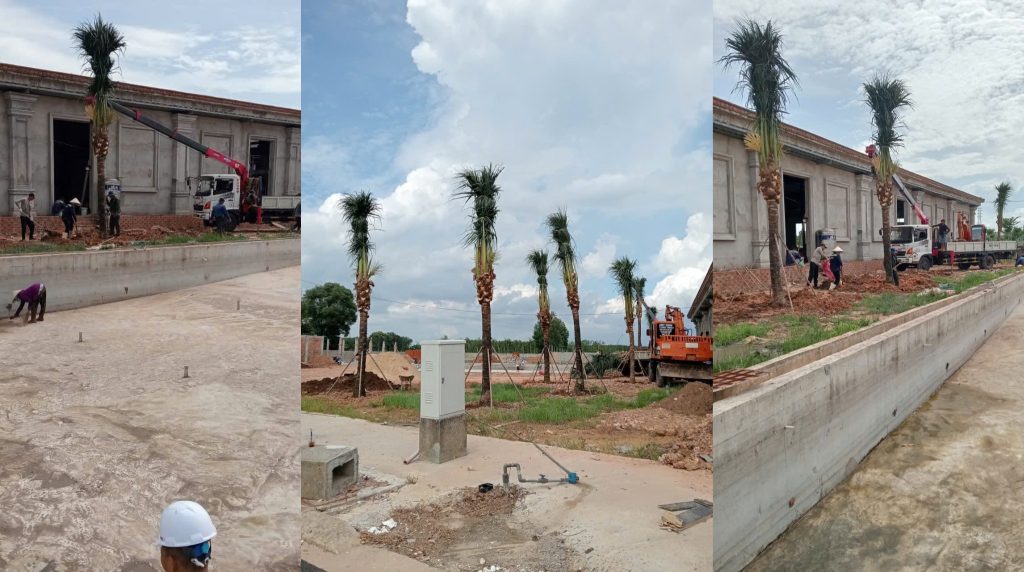 Hạ tầng nội khu Bắc Sài Gòn đang dần được hình thành